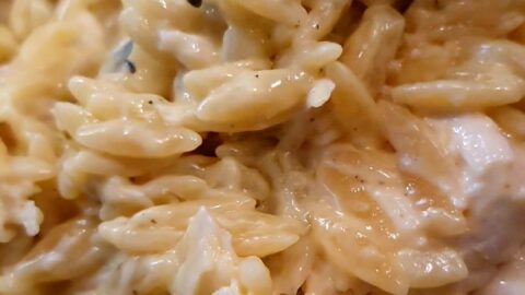 makaron orzo z kurczakiem