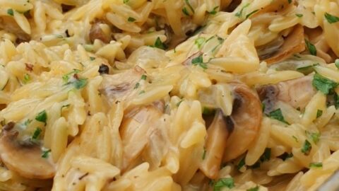 creamy-mushroom-orzo-