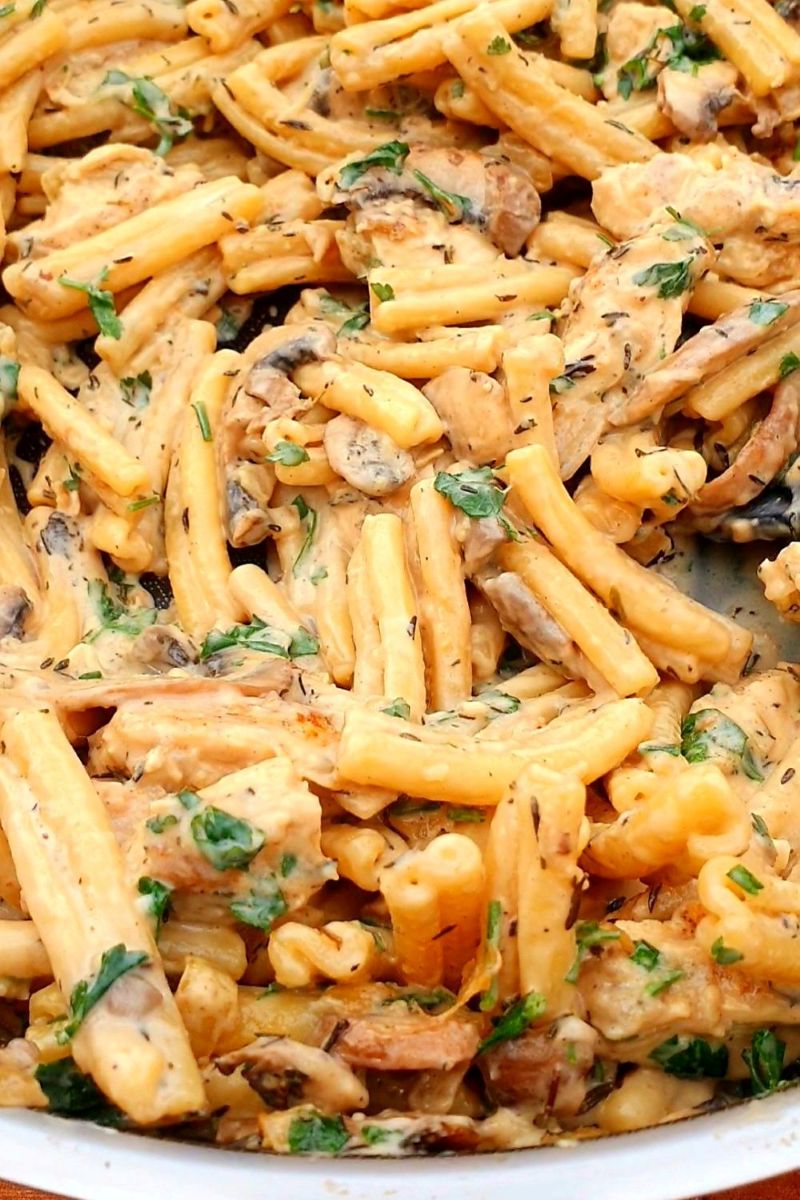 creamy chicken mushroom pasta